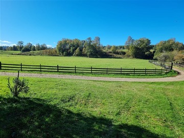Venta / Parcela / Panguipulli