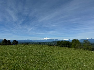 Venta / Parcela / Panguipulli