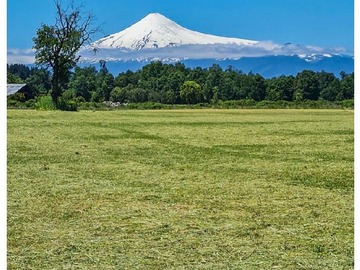 Venta / Parcela / Panguipulli