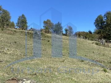 Imagen 11