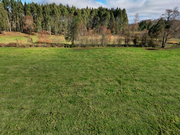 Venta / Parcela / Panguipulli