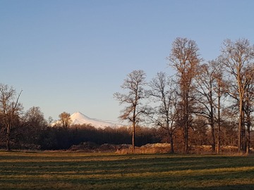 V. Villarrica atardecer