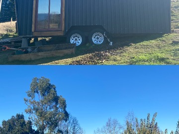 Venta / Parcela / Panguipulli