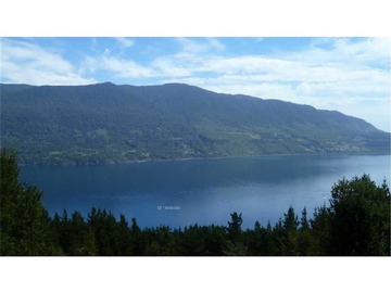 Venta / Parcela / Panguipulli