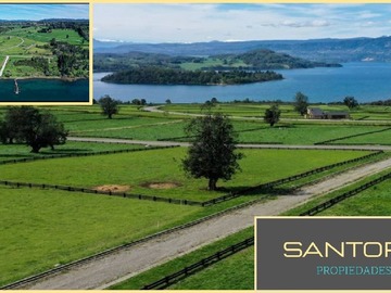 Venta / Parcela / Panguipulli