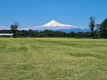 Venta / Parcela / Panguipulli