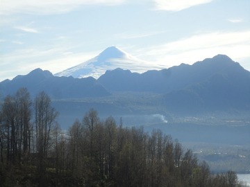 Venta / Parcela / Panguipulli