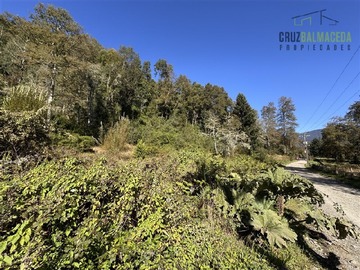 Imagen 5