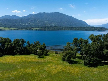 Venta / Parcela / Panguipulli