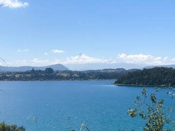 Venta / Parcela / Panguipulli