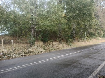 Imagen 17