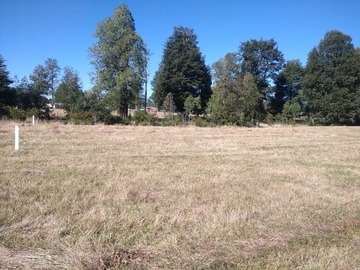 Imagen 9