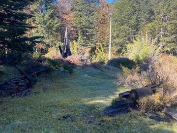 Venta / Parcela / Panguipulli