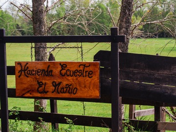 Imagen 7