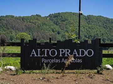 Venta / Parcela / Panguipulli