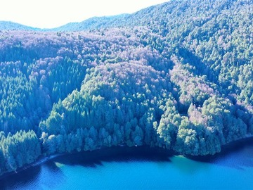 Venta / Parcela / Panguipulli