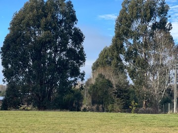 Venta / Parcela / Panguipulli