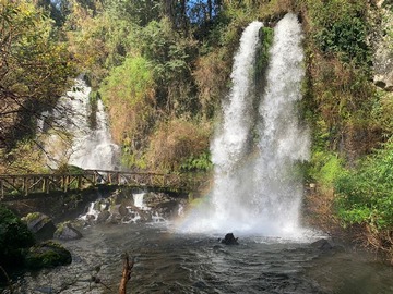 Venta / Parcela / Panguipulli