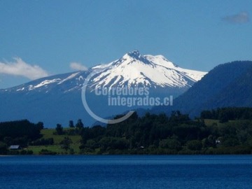 Venta / Parcela / Panguipulli