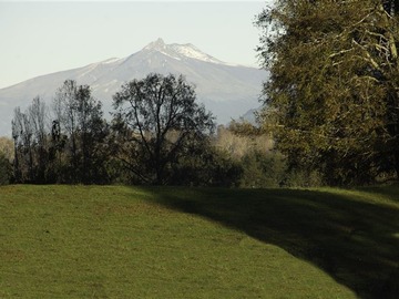 Imagen 11