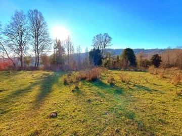 Venta / Parcela / Panguipulli