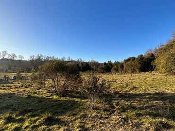 Venta / Parcela / Panguipulli