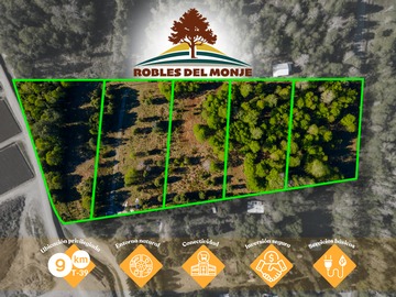 Venta / Parcela / Panguipulli