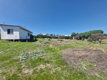 Venta / Parcela / Papudo