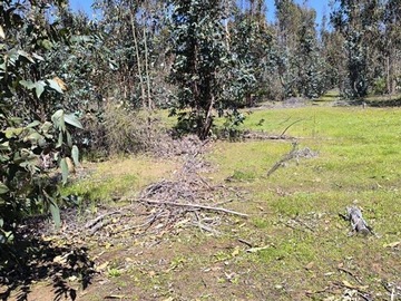 Imagen 4