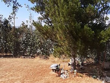 Imagen 9