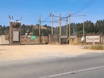 Venta / Parcela / Paredones