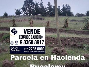 Venta / Parcela / Paredones