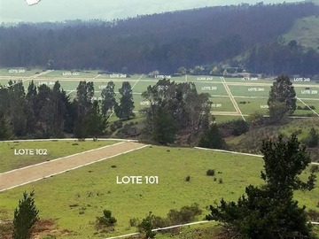 Imagen 10