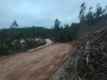 Imagen 5