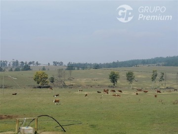 Imagen 6