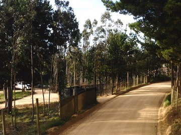 Venta / Parcela / Paredones