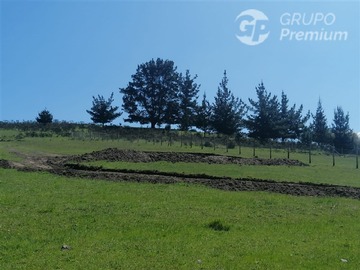 Imagen 7