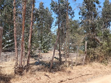 Venta / Parcela / Paredones