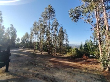 Venta / Parcela / Paredones