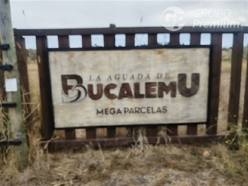 Imagen 13