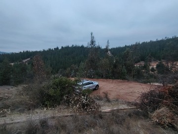 Imagen 4