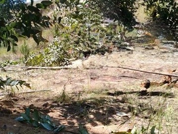 Venta / Parcela / Paredones