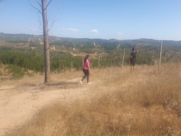 Venta / Parcela / Paredones