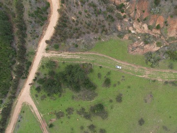 Imagen 7