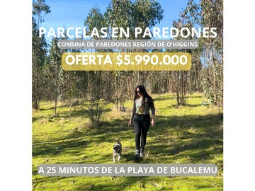 Venta / Parcela / Paredones