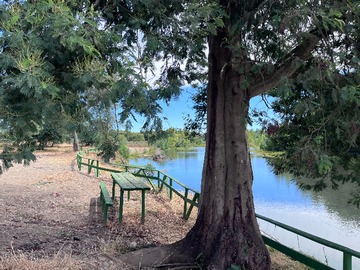 Venta / Parcela / Parral