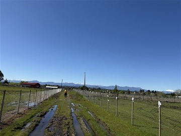 Imagen 11