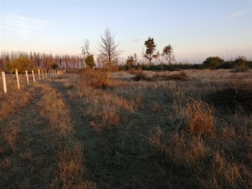 Venta / Parcela / Parral