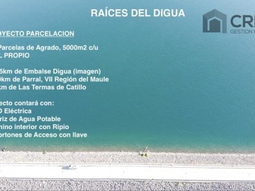 Imagen 12
