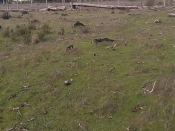 Imagen 11